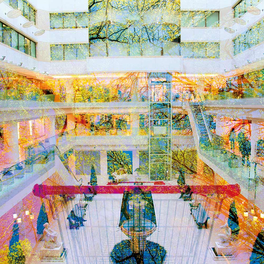Sustainable stores. Reality or abstraction?